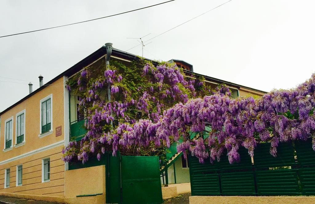 Guesthouse Natali Telavi Exterior foto